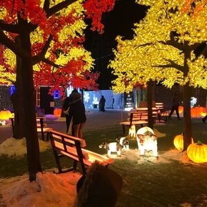 Meet your Posher, Liezle